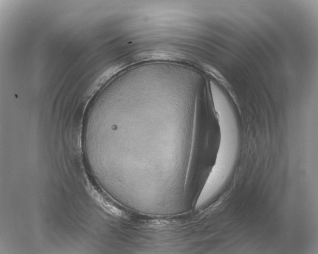 X0000078030938200611251552