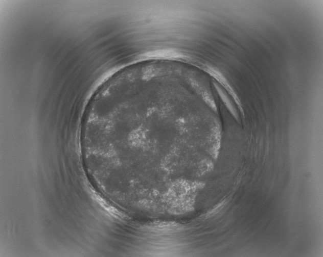 X0000078030939200611251552