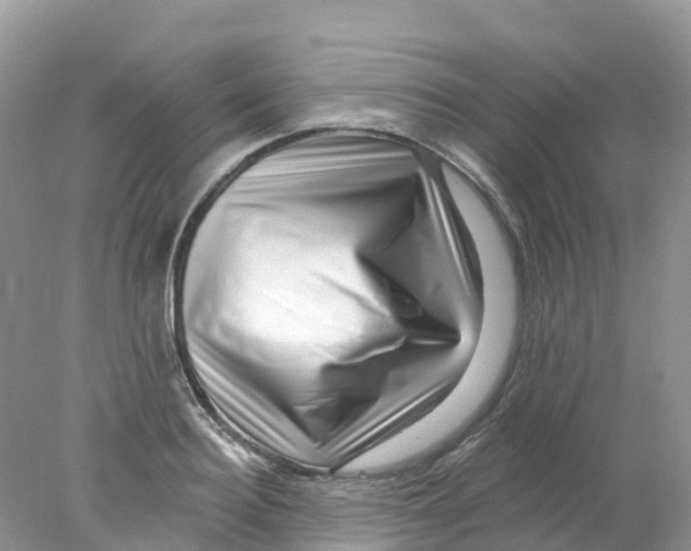 X0000078030940200611251552