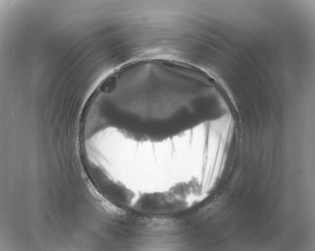 X0000078030941200611251552