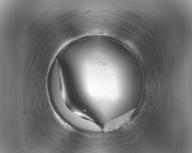 X0000078030942200611251552