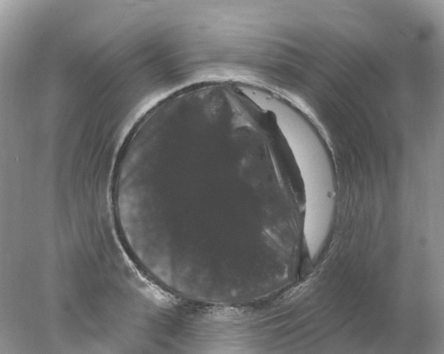 X0000078030943200611251552