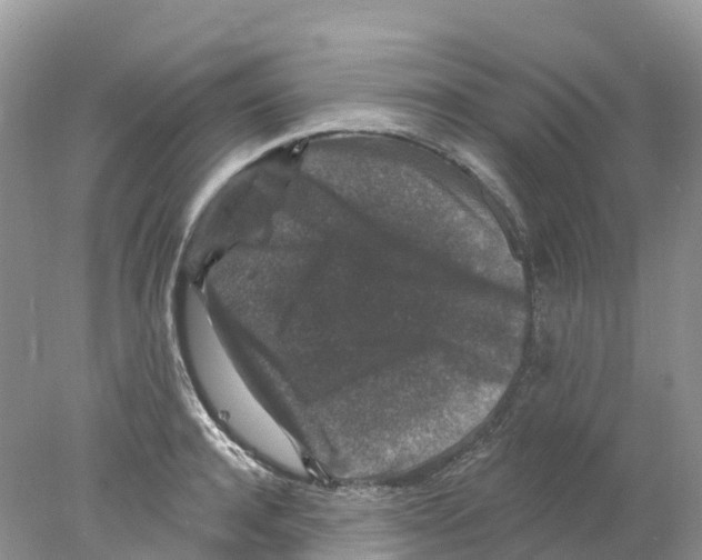 X0000078030944200611251552