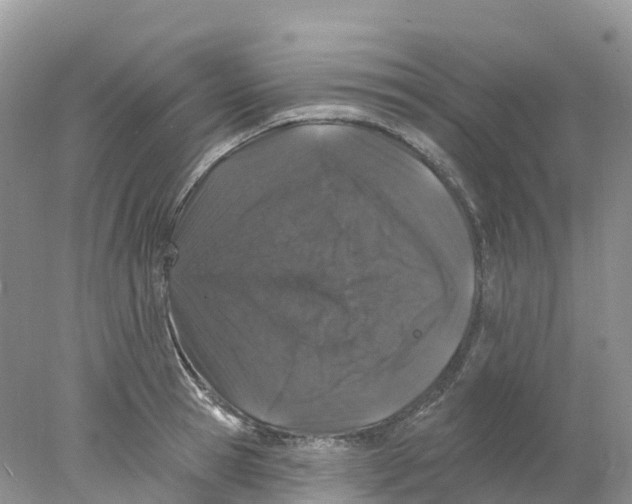 X0000078030945200611251552