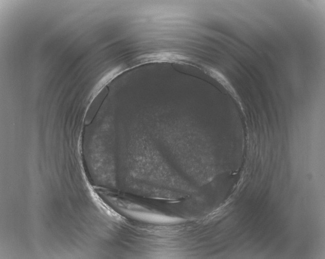 X0000078030946200611251552