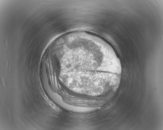 X0000078030948200611251552