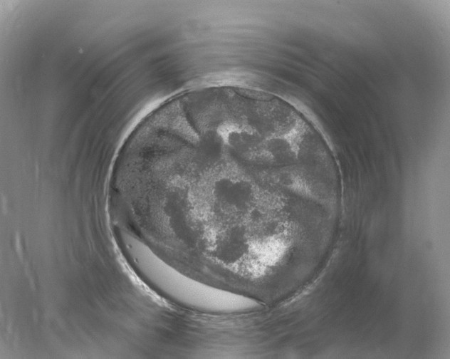 X0000078030949200611251552