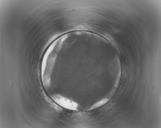 X0000078030950200611251552