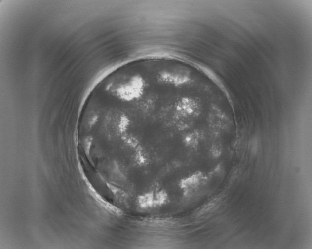 X0000078030951200611251552