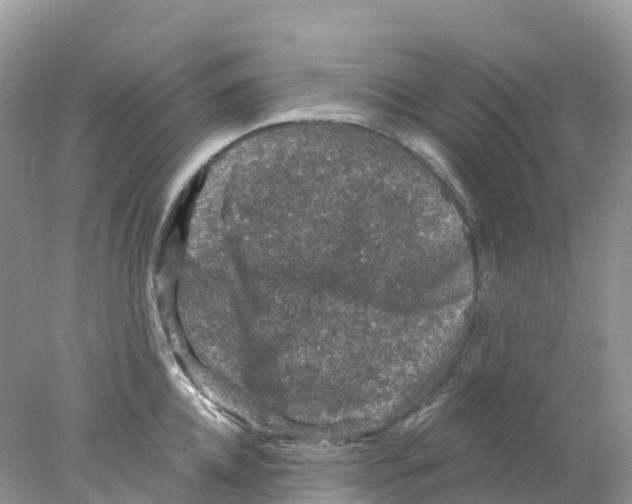 X0000078030952200611251552