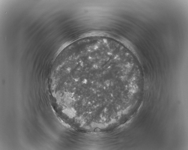 X0000078030953200611251552