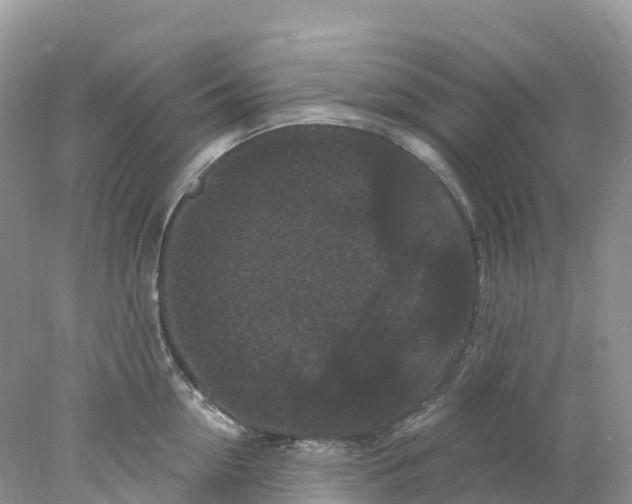 X0000078030954200611251552