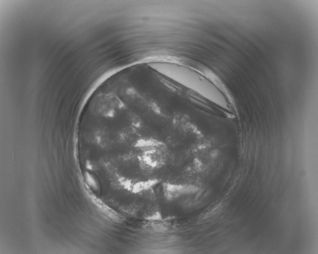 X0000078030955200611251552