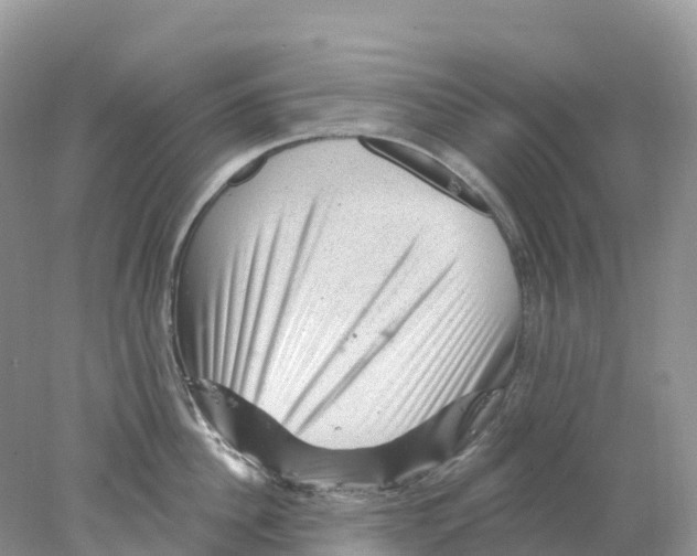 X0000078030956200611251552