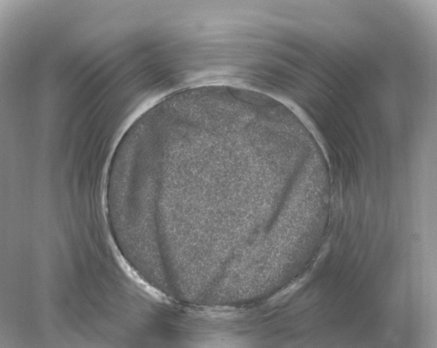 X0000078030957200611251552