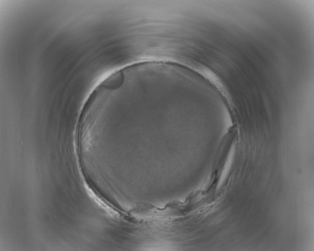 X0000078030958200611251552