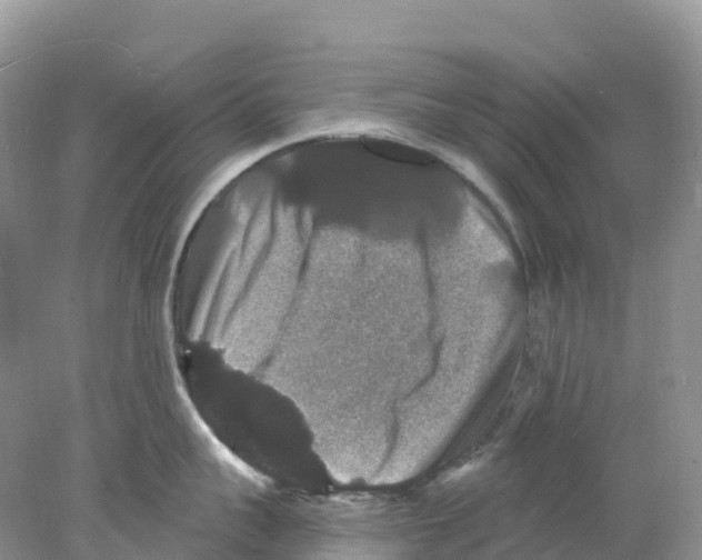 X0000078030959200611251552