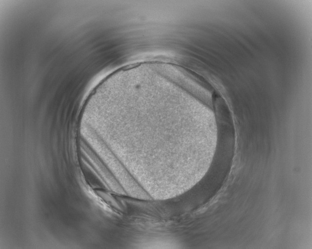 X0000078030960200611251552