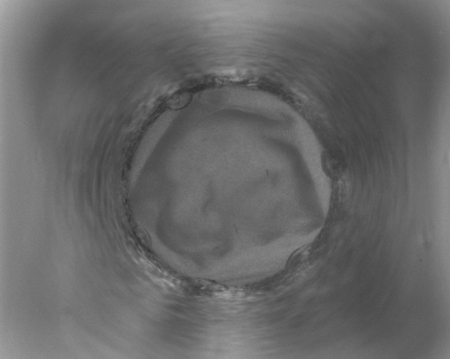 X0000078030961200611251551