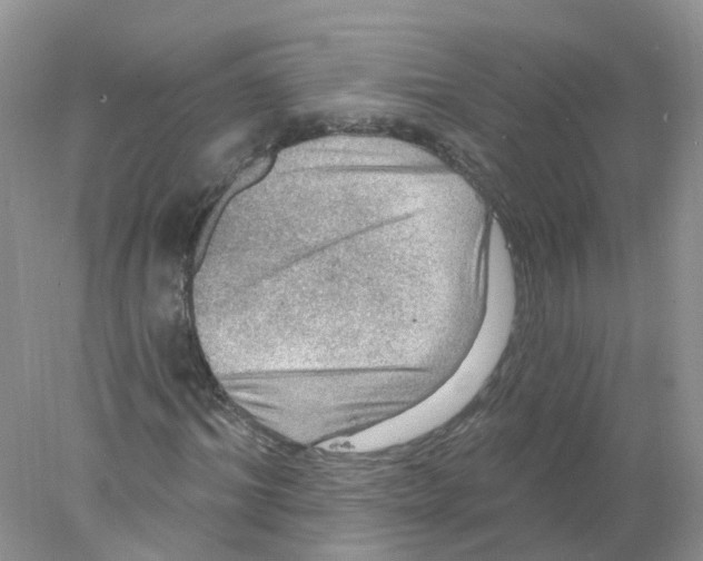 X0000078030964200611251551