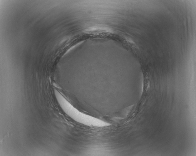 X0000078030965200611251551