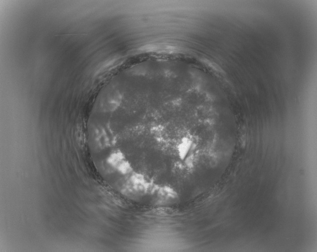 X0000078030966200611251551