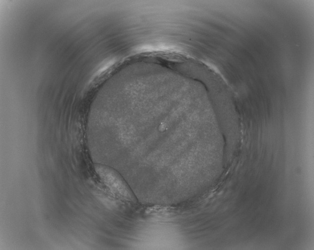 X0000078030967200611251551