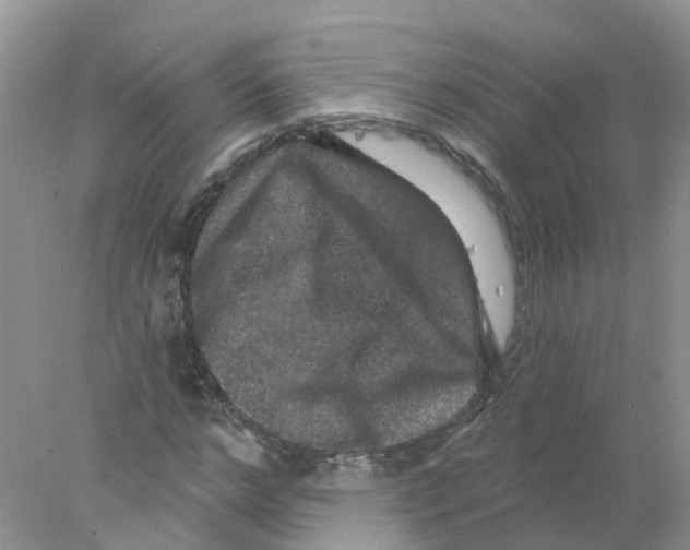 X0000078030968200611251551