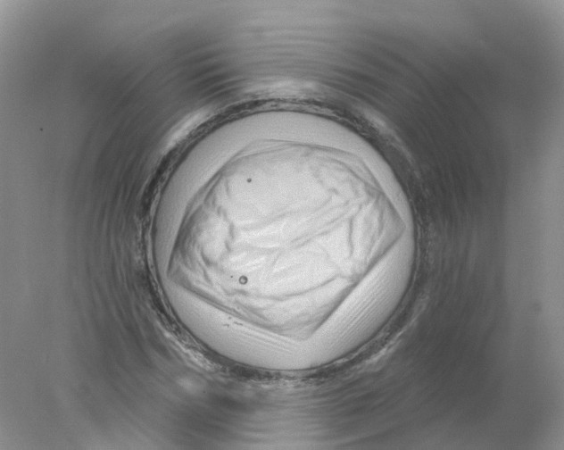 X0000078030970200611251551