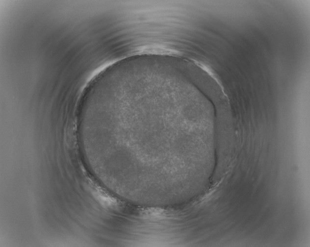 X0000078030971200611251551