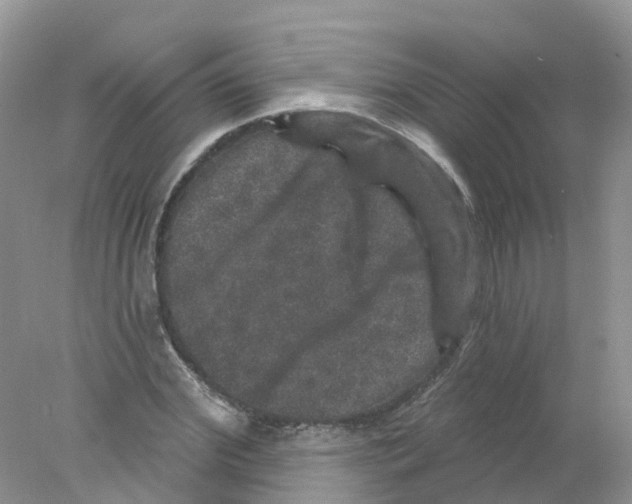 X0000078030972200611251551