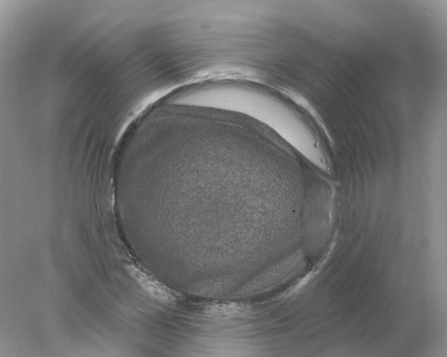 X0000078030973200611251551