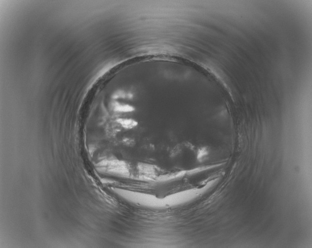 X0000078030975200611251551