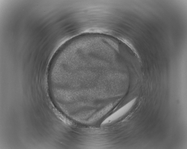 X0000078030976200611251551