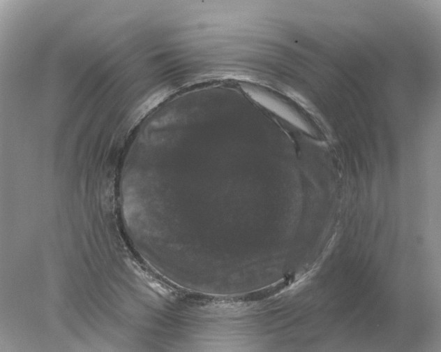 X0000078030977200611251551