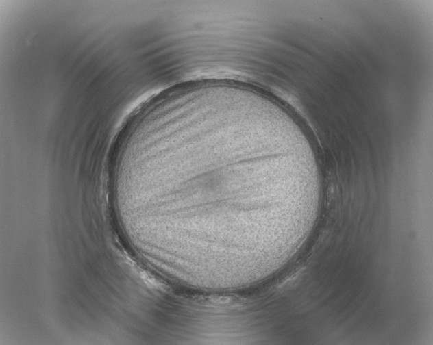 X0000078030979200611251551