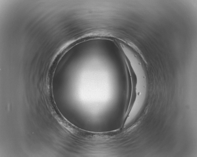 X0000078030981200611251551