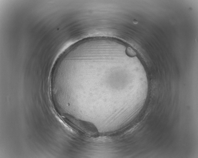 X0000078030982200611251551