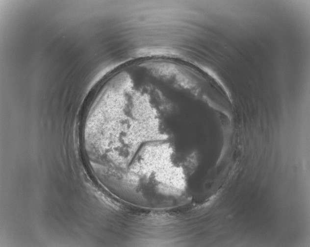 X0000078030983200611251551