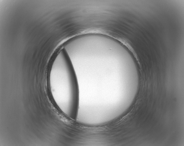 X0000078030984200611251551