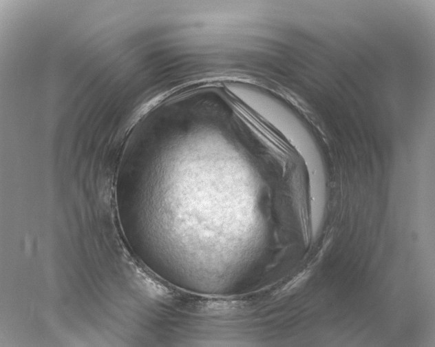 X0000078030985200611251551