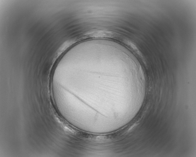 X0000078030986200611251551