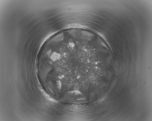 X0000078030987200611251551