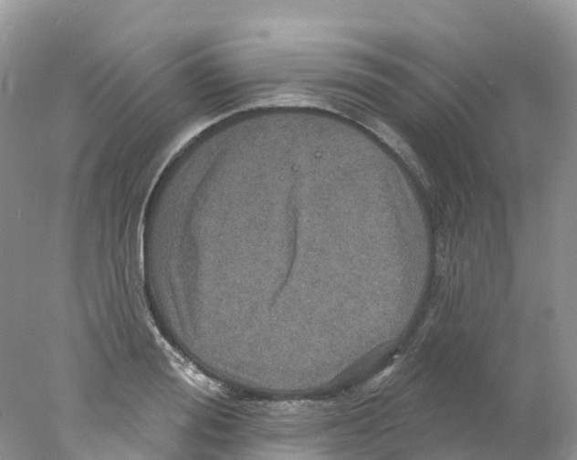 X0000078030988200611251551