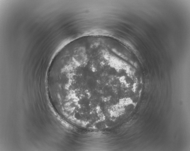 X0000078030990200611251551