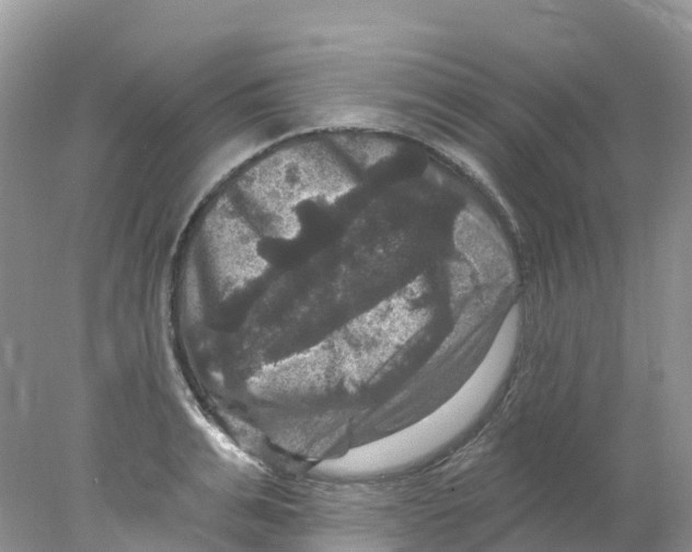 X0000078030991200611251551