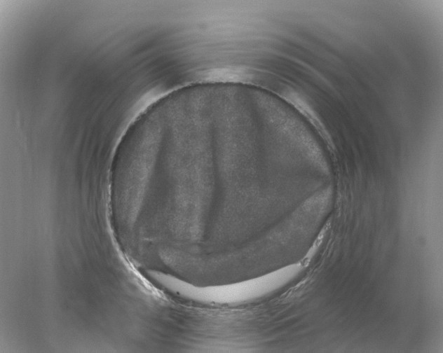 X0000078030992200611251551