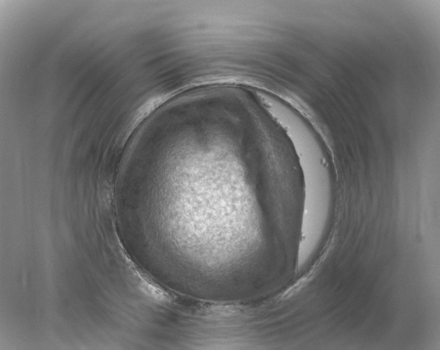 X0000078030993200611251551