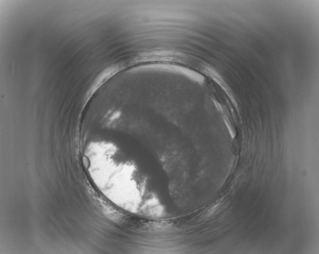 X0000078030994200611251551