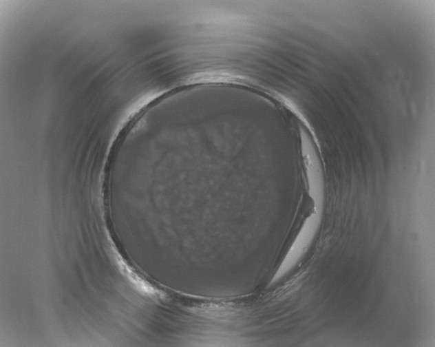 X0000078030995200611251551